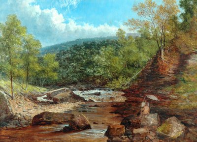 Posforth Ghyll, Bosques de Bolton de William Mellor